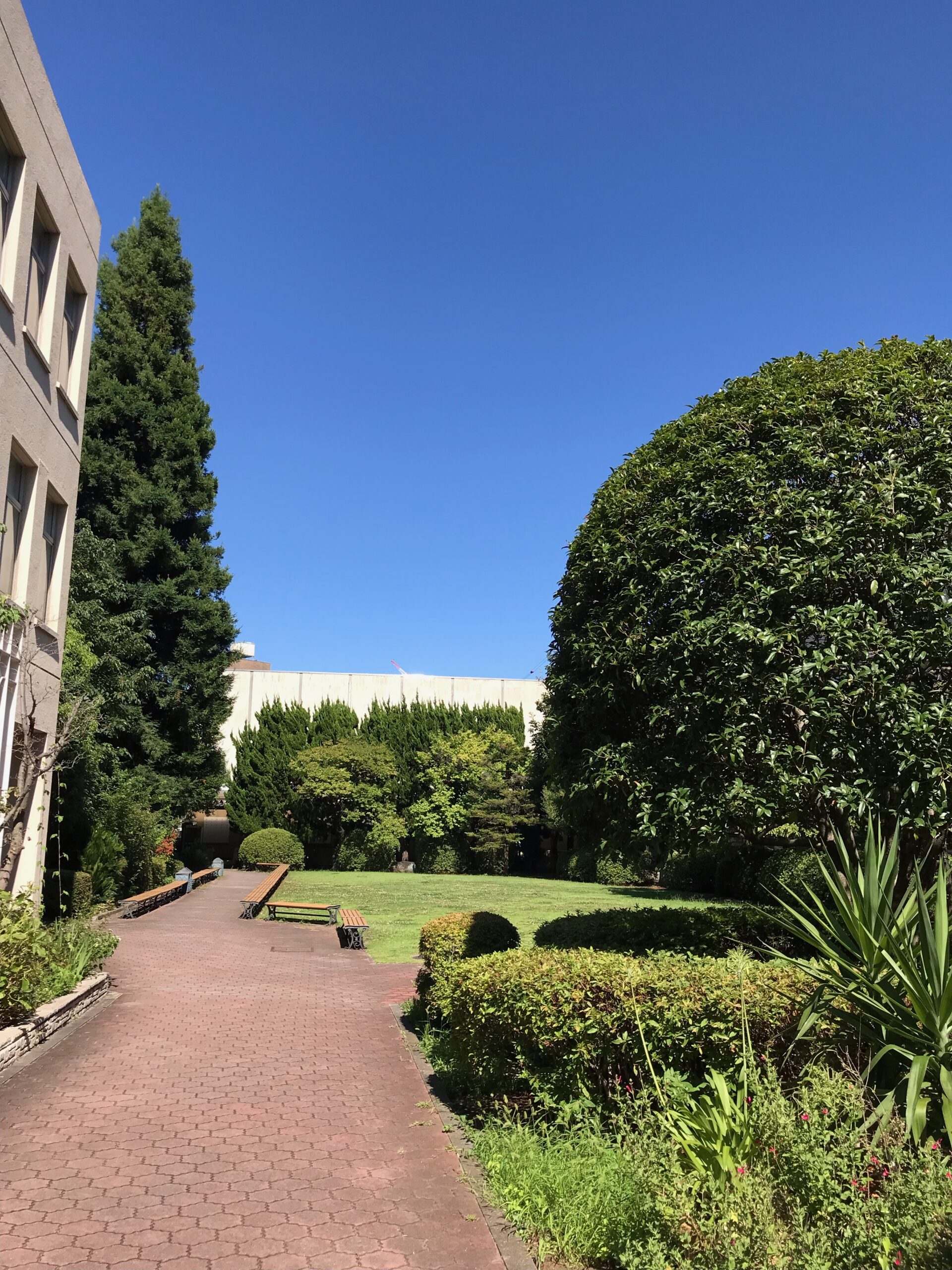 青山 短期 大学
