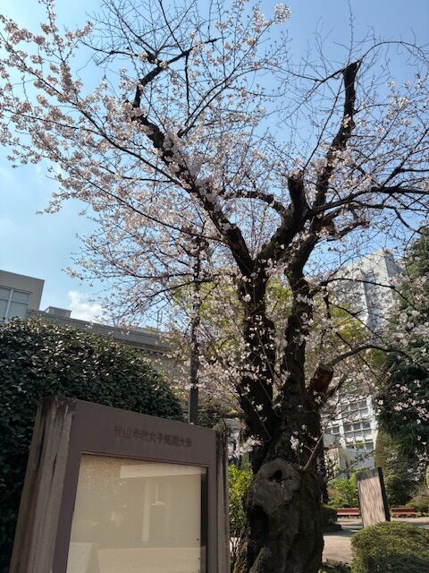 <br />
<b>Warning</b>:  Undefined variable $image in <b>/home/c9156249/public_html/alumni-aoyamagakuin.jp/wp-content/themes/agaa-child/front-page.php</b> on line <b>103</b><br />
<br />
<b>Warning</b>:  Trying to access array offset on value of type null in <b>/home/c9156249/public_html/alumni-aoyamagakuin.jp/wp-content/themes/agaa-child/front-page.php</b> on line <b>103</b><br />
<br />
<b>Warning</b>:  Trying to access array offset on value of type null in <b>/home/c9156249/public_html/alumni-aoyamagakuin.jp/wp-content/themes/agaa-child/front-page.php</b> on line <b>103</b><br />
