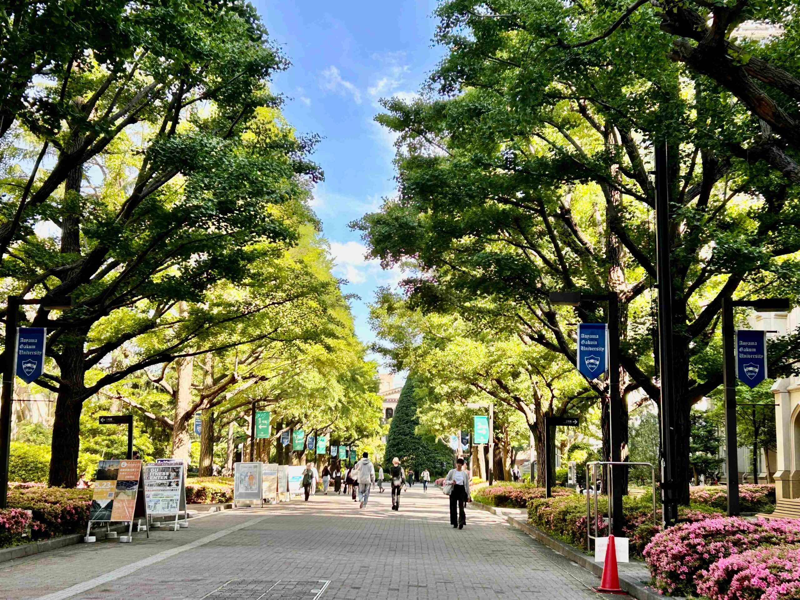 <br />
<b>Warning</b>:  Undefined variable $image in <b>/home/c9156249/public_html/alumni-aoyamagakuin.jp/wp-content/themes/agaa-child/front-page.php</b> on line <b>104</b><br />
<br />
<b>Warning</b>:  Trying to access array offset on value of type null in <b>/home/c9156249/public_html/alumni-aoyamagakuin.jp/wp-content/themes/agaa-child/front-page.php</b> on line <b>104</b><br />
<br />
<b>Warning</b>:  Trying to access array offset on value of type null in <b>/home/c9156249/public_html/alumni-aoyamagakuin.jp/wp-content/themes/agaa-child/front-page.php</b> on line <b>104</b><br />
